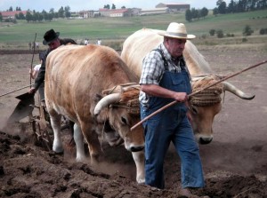 jean-garnier-11-ok-300x223