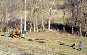 jean-garnier-4-ok-300x190