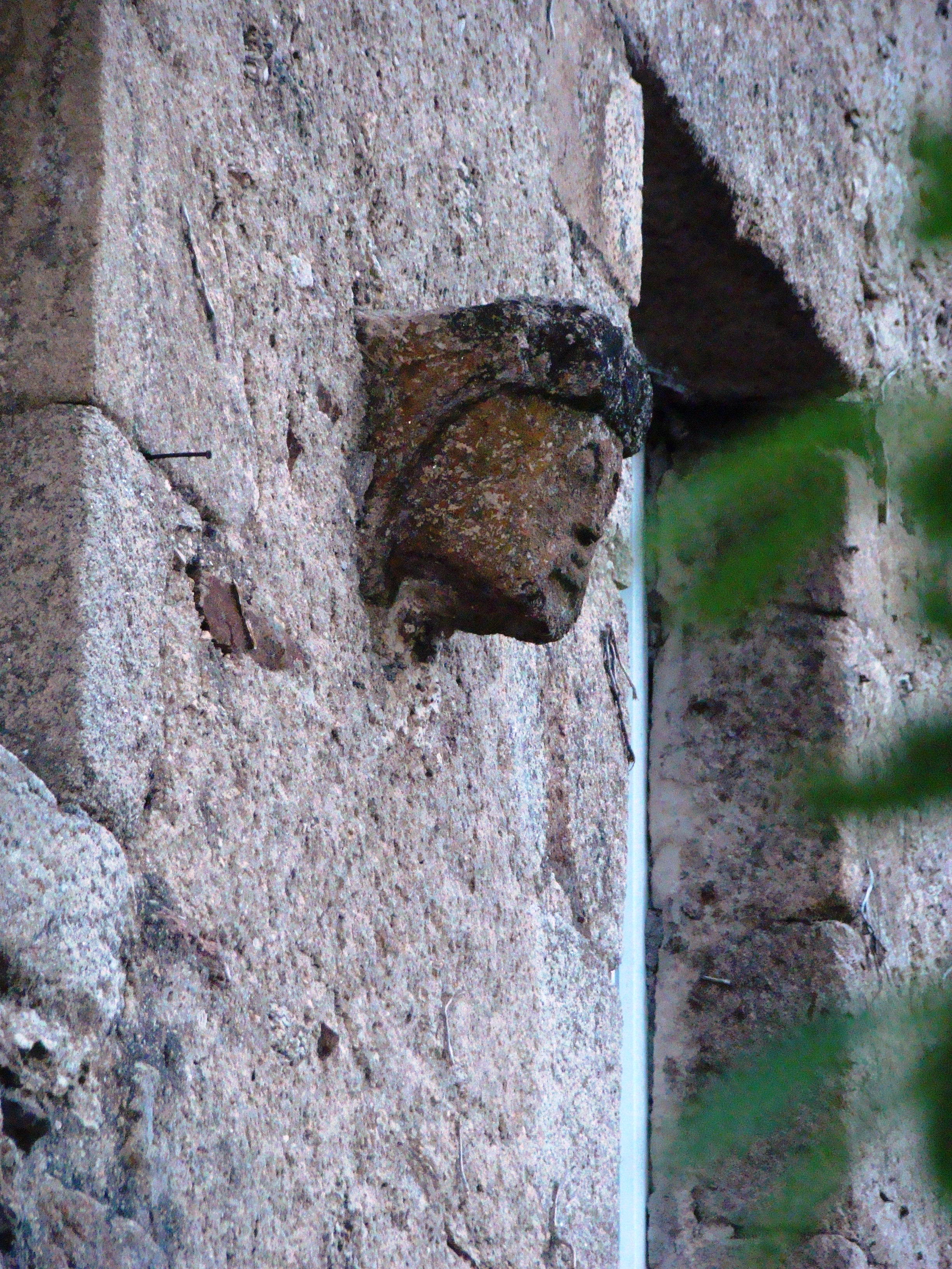 Facade maison Francois Garnier